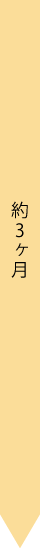 約3ヶ月