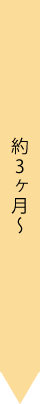 約3ヶ月~