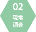 現地調査